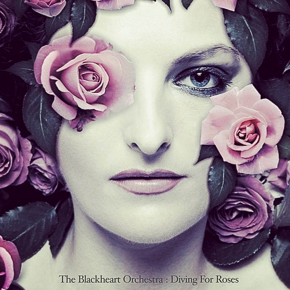 The Blackheart Orchestra - Diving For Roses [LP] Magenta